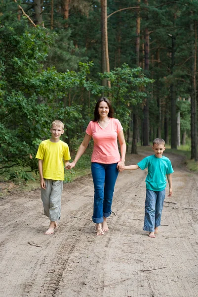 Rodina čtyř chůze — Stock fotografie