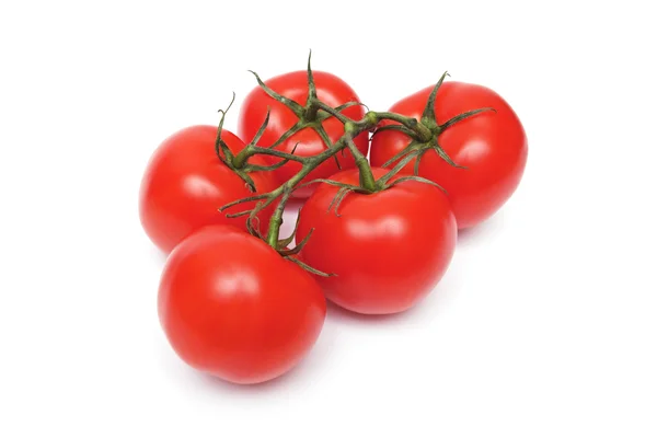 Ripe tomatos — Stock Photo, Image