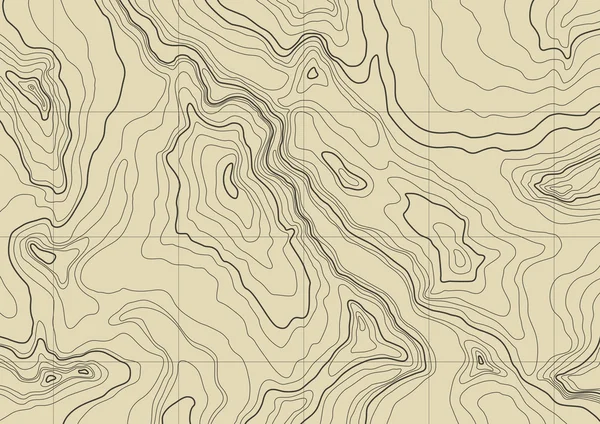 Mapa topográfico abstrato — Vetor de Stock