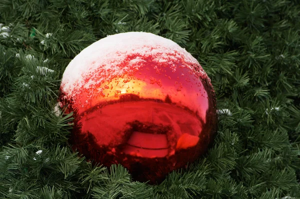 Bont-kerstboom — Stockfoto