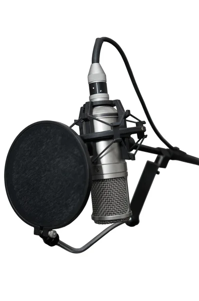 Modernes professionelles Mikrofon — Stockfoto