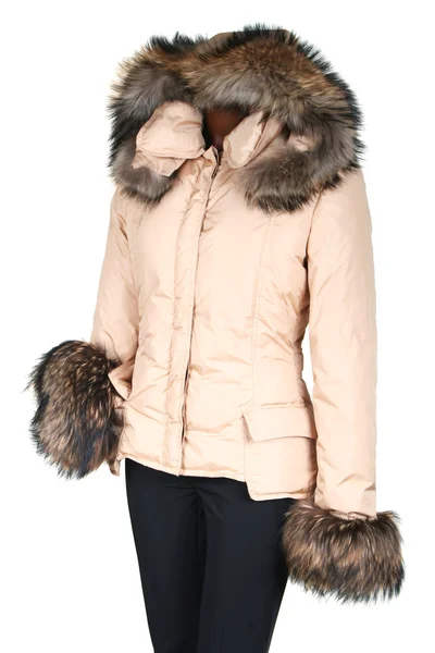 Female jacket with a hood — Stock Photo, Image