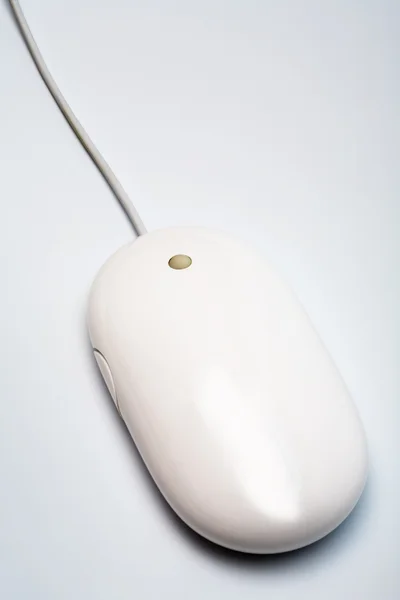 The mouse — Stock Photo, Image