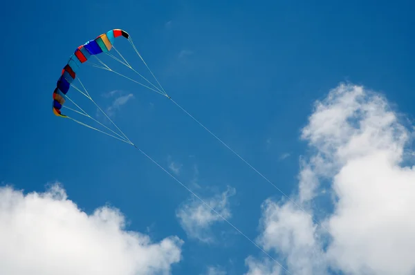 stock image The Kite