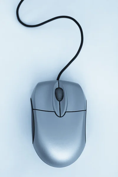 ホイール付きのマウス — ストック写真