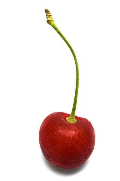 Ripe red cherry — Stock Photo, Image