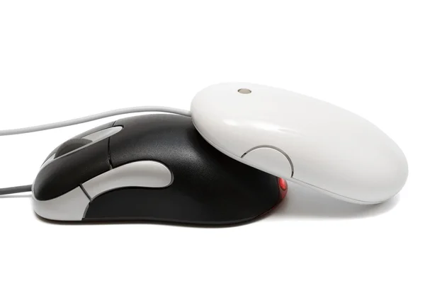 Two mouse — Stock Photo, Image