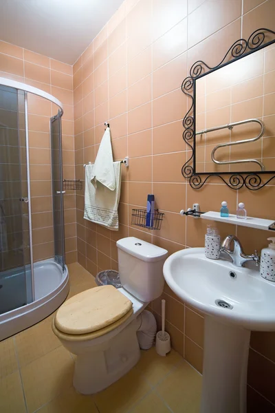Badezimmer Mit Duschkabine Der Wohnung — Stockfoto