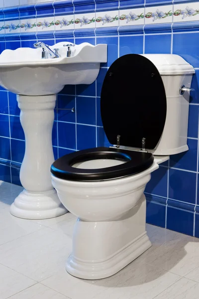 Toilettenschüssel und Waschbecken — Stockfoto