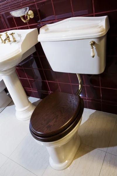 Toilettenschüssel und Waschbecken — Stockfoto