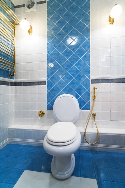 Novo Vaso Sanitário Banheiro Moderno — Fotografia de Stock