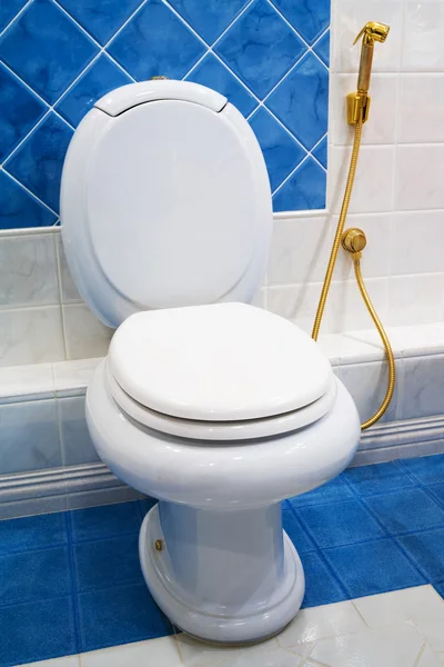 Vaso sanitário — Fotografia de Stock