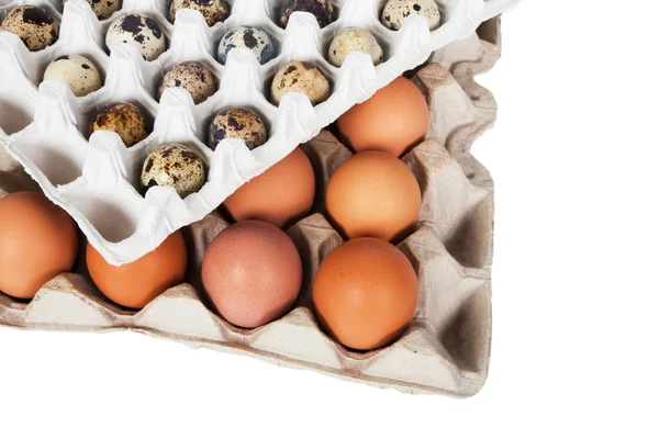 Яйця Упаковці Білому Тлі — стокове фото