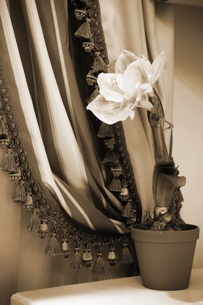 A háttérben a függöny virág — Stock Fotó