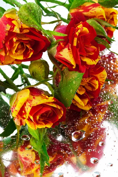 Roses on the mirror — Stock Photo, Image