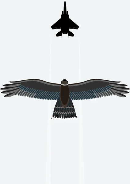 鹰和一架战斗机 — 图库矢量图片