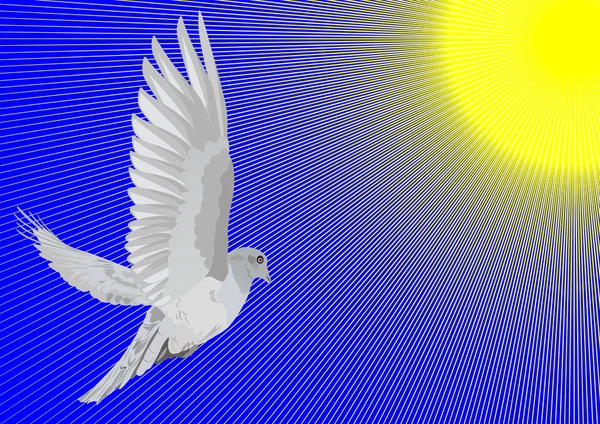 Eine Taube Fliegt Der Sonne Entgegen — Stockvektor