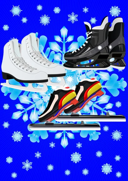 Winter Sports Skates Different Sports — Stock Vector