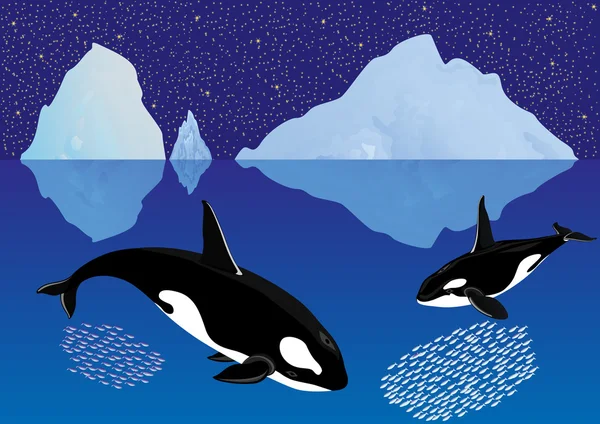 Whales among the icebergs — Stock Vector
