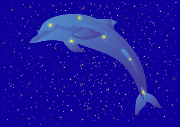 Constellation of the Dolphin — Stock Vector