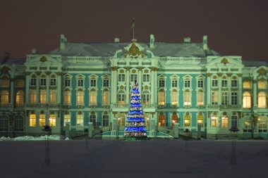 Catherine Sarayı tsarskoe Selo, Rusya. Kış gecesi.