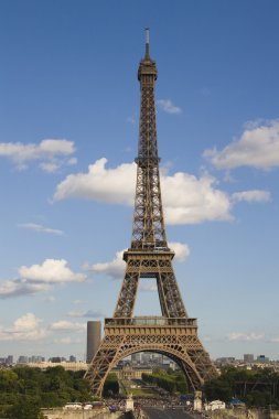 Eiffel tower, view from Trocadero clipart