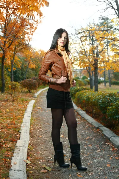 Aranyos lány szabadtéri ősz — Stock Fotó