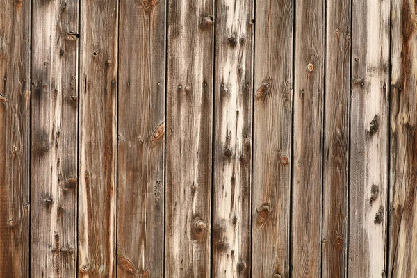 Rika trä bakgrund — Stockfoto