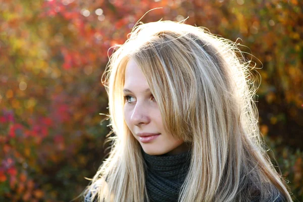 Fiatal modell, szőke hajat. ősszel. ősz — Stock Fotó