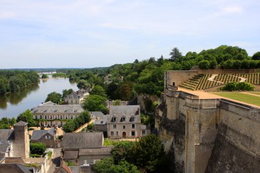 View of Amboise and Loire river from the castle, France clipart