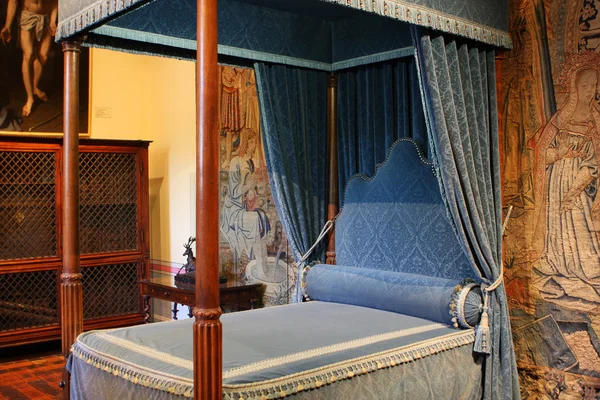 Βασιλικό Υπνοδωμάτιο Της Catherine Medicis Στο Κάστρο Chenonceau Φωτογραφία Αρχείου