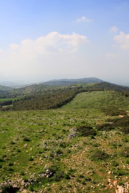 beratını