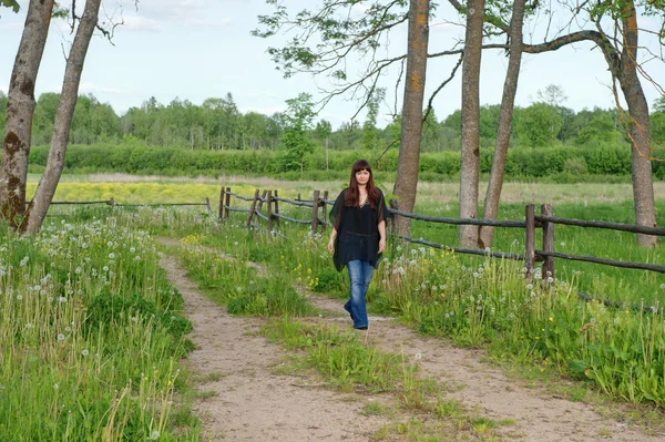 stock image Walk near by dandelion meadow.