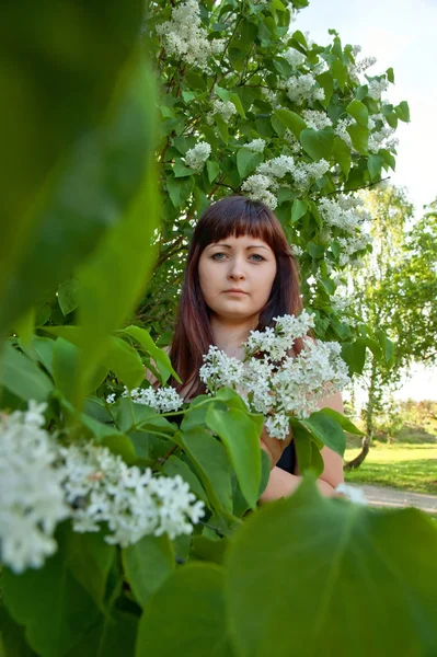 stock image Beauty girl in lilac.