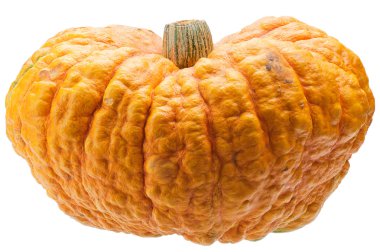 Orange pumpkin isolated on white background. clipart