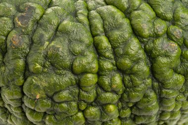 arka planı yeşil kabak.