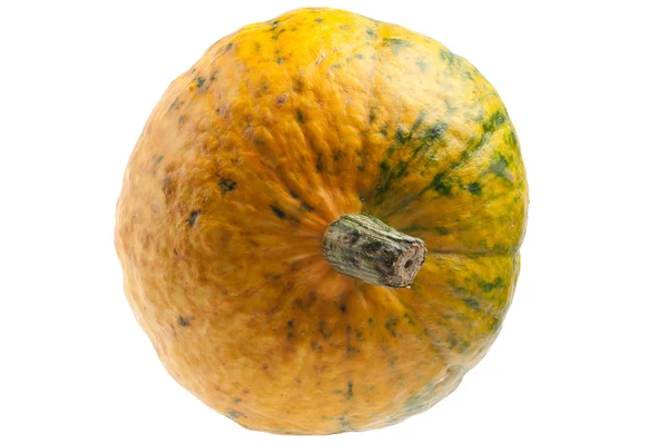Colourful pumpkin isolated on white background. — Stock Photo, Image