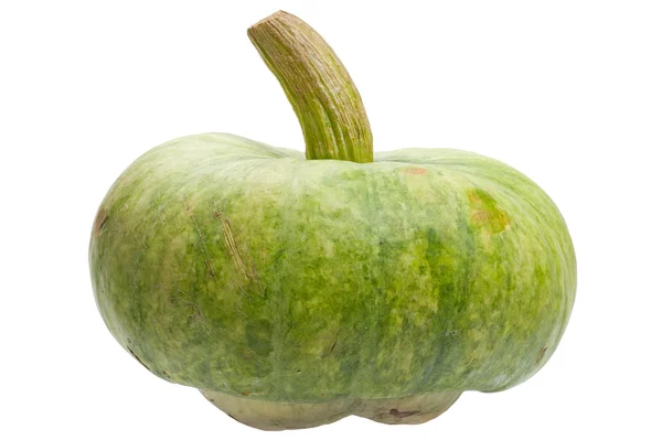 Green pumpkin isolated on white background. — Stock Photo, Image