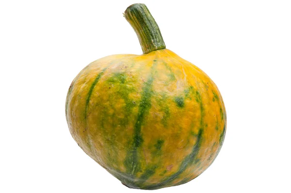 Colourful pumpkin isolated on white background. — Stock Photo, Image