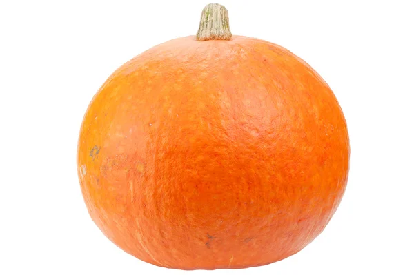 Апельсиновий гарбуз ізольований на білому фоні . — стокове фото
