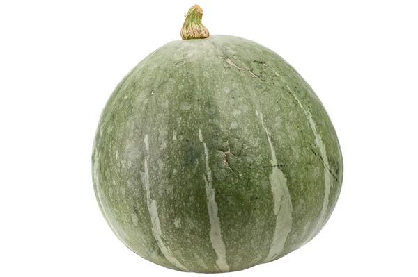 Green pumpkin isolated on white background. — Stock Photo, Image