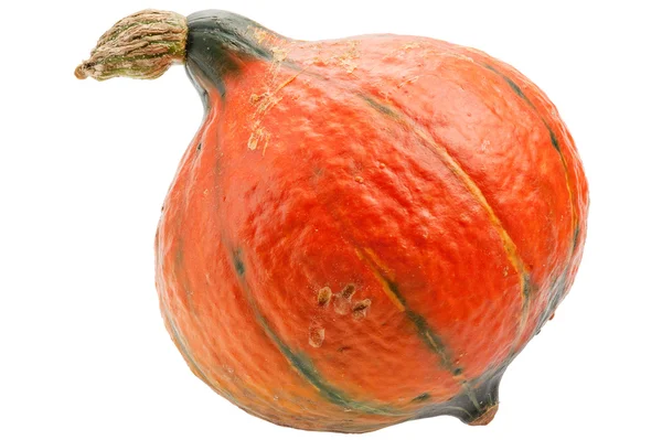 Orange pumpkin isolated on white background. — Stock Photo, Image