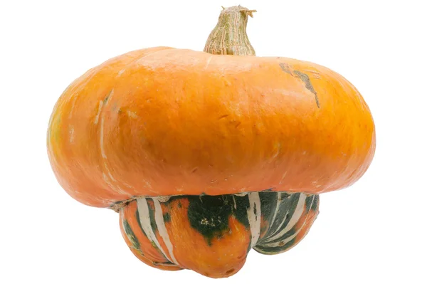 Orange pumpkin isolated on white background. Royalty Free Stock Images