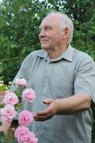 Pěstitel růží — Stock fotografie