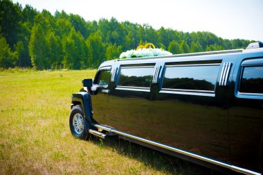 The photo shows a black limousine adorned with wedding rings clipart
