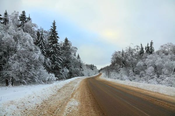 Route en forêt d'hiver — Photo