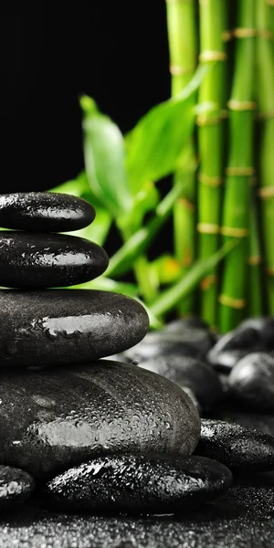 Zen Stones Zelený Bambus Vodě — Stock fotografie