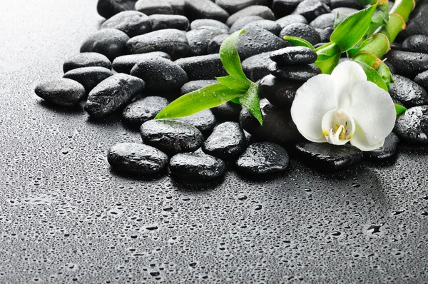 Pedras Zen Orquídea Branca Água — Fotografia de Stock