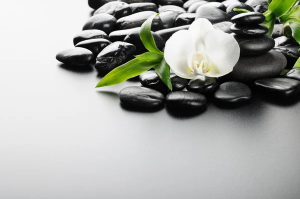 Zen Stones Orchidej Černém — Stock fotografie