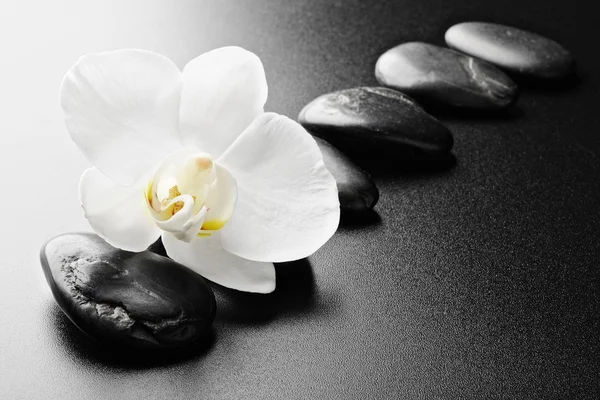 Zen Πέτρες Και Ορχιδέα Στη Μαύρη — Φωτογραφία Αρχείου